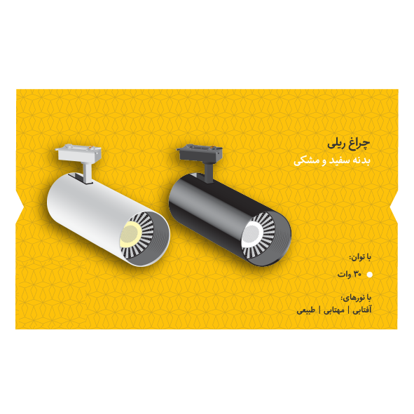 چراغ ریلی ۳۰ وات